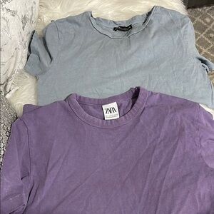 Zara Purple and Gray T-Shirts